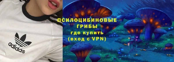 ПСИЛОЦИБИНОВЫЕ ГРИБЫ Мегион