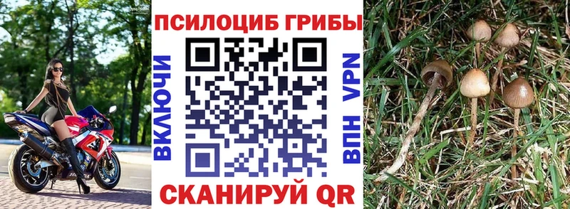 даркнет сайт  mega   Галлюциногенные грибы мицелий  Гаврилов Посад 
